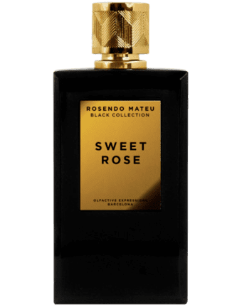 Rosendo Mateu Sweet Rose